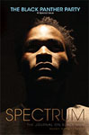 spectrum-journal-on-black-men-bpp-issue-thumbnail